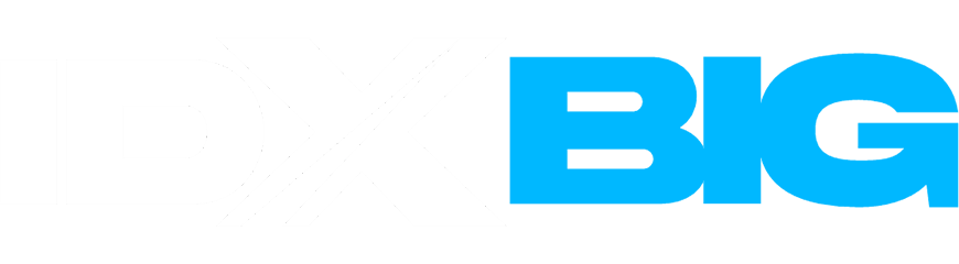 Logo IDXBIG platform
